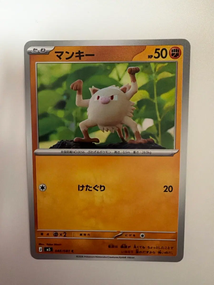 포켓몬 카드 맨키 50HP