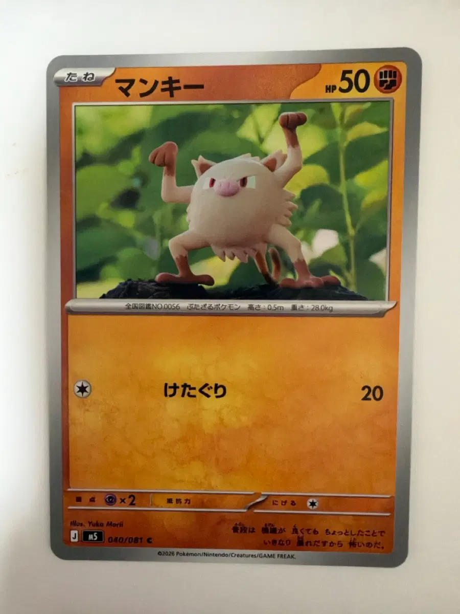 포켓몬 카드 맨키 50HP