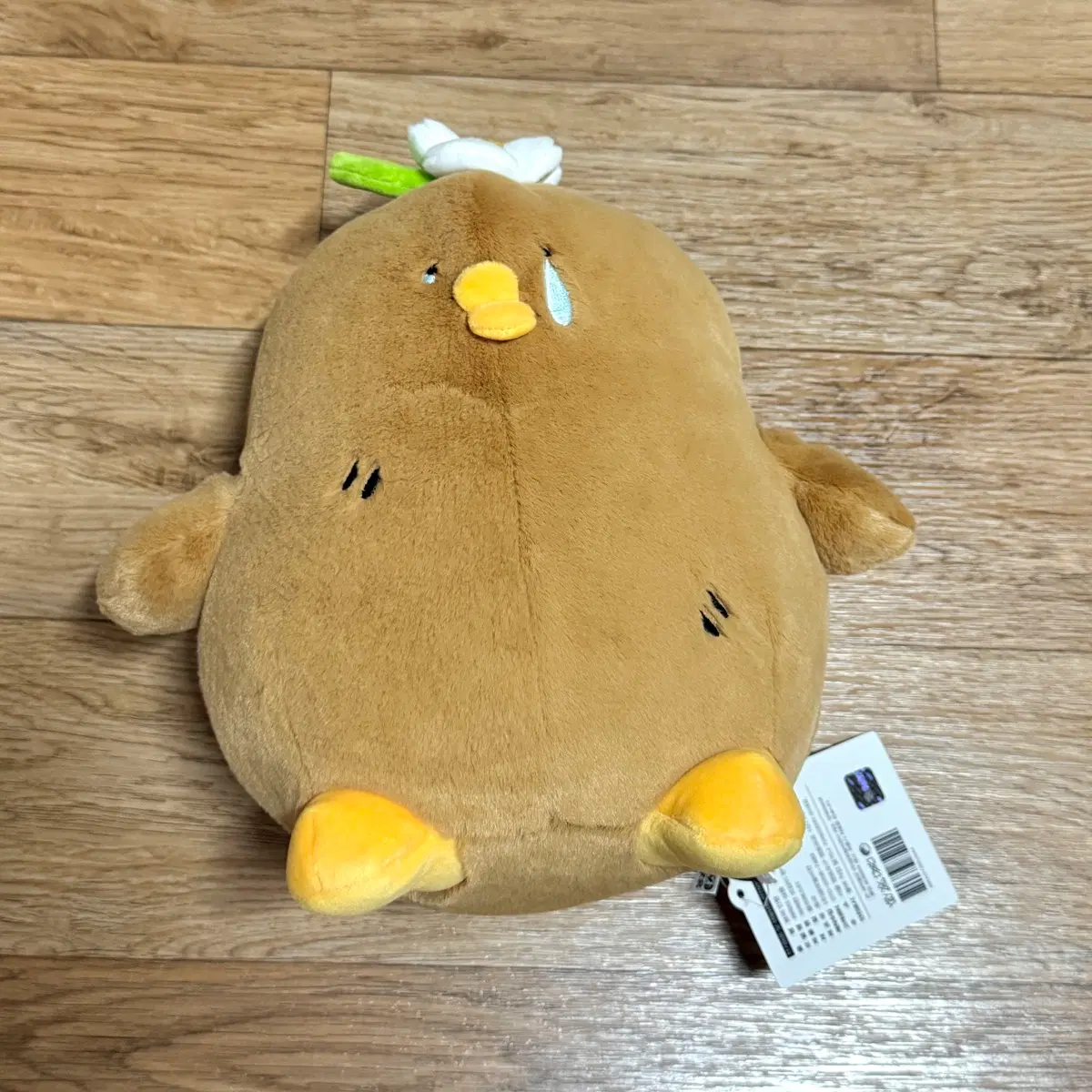 퍽퍽한 오감이 오리감자 완익 중형 인형 23cm