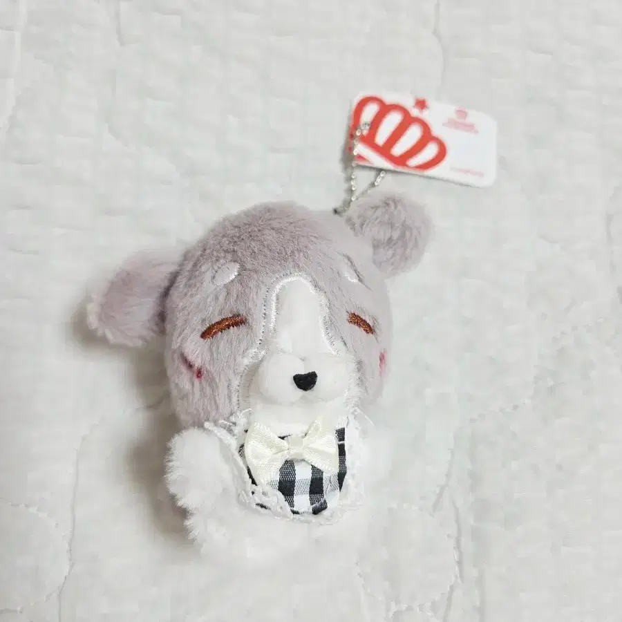 귀여운 댕댕이 인형 키링