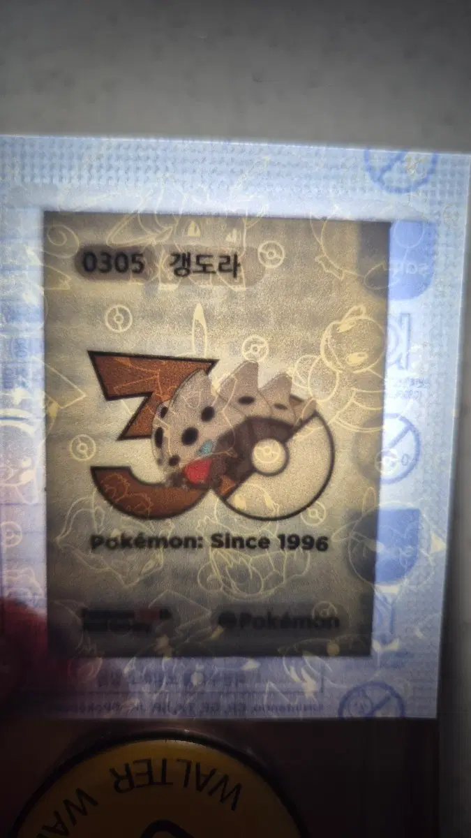 포켓몬 띠부씰 30주년 갱도라