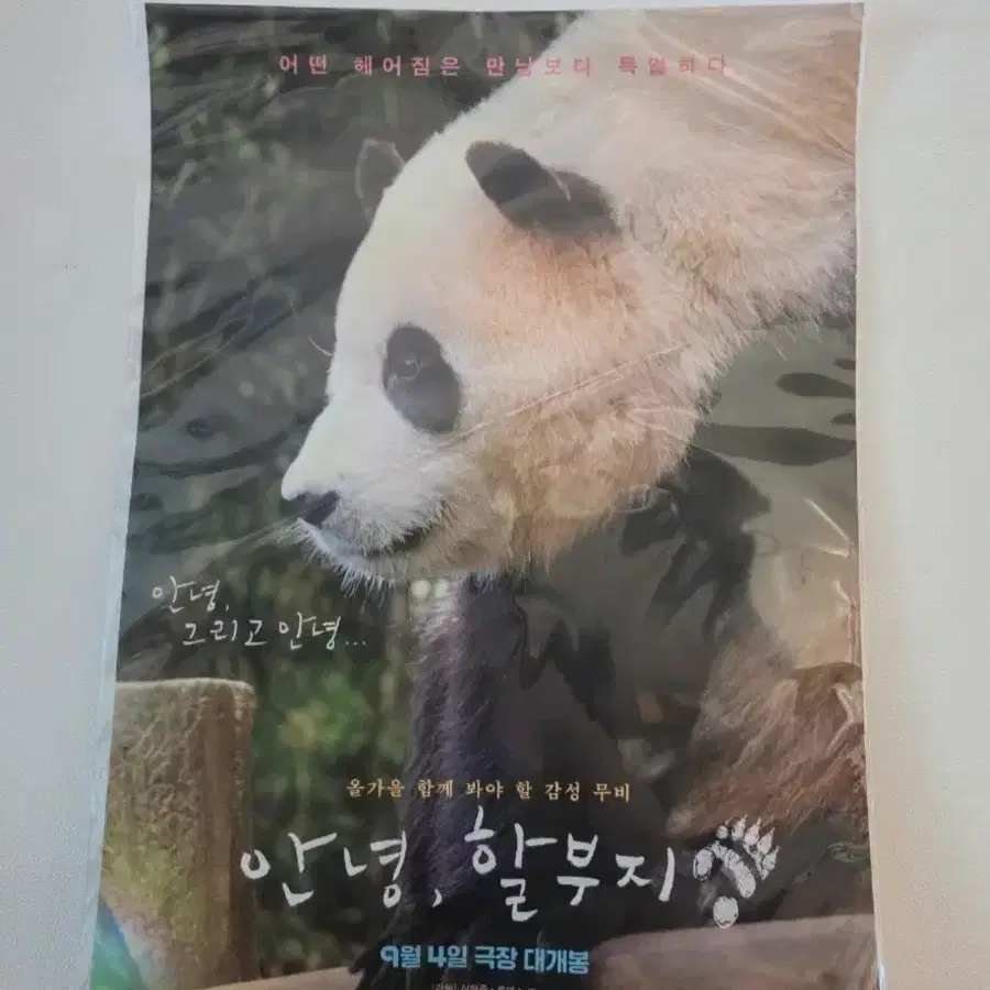 안녕 할부지 푸바오 영화 포스터(3장 일괄)