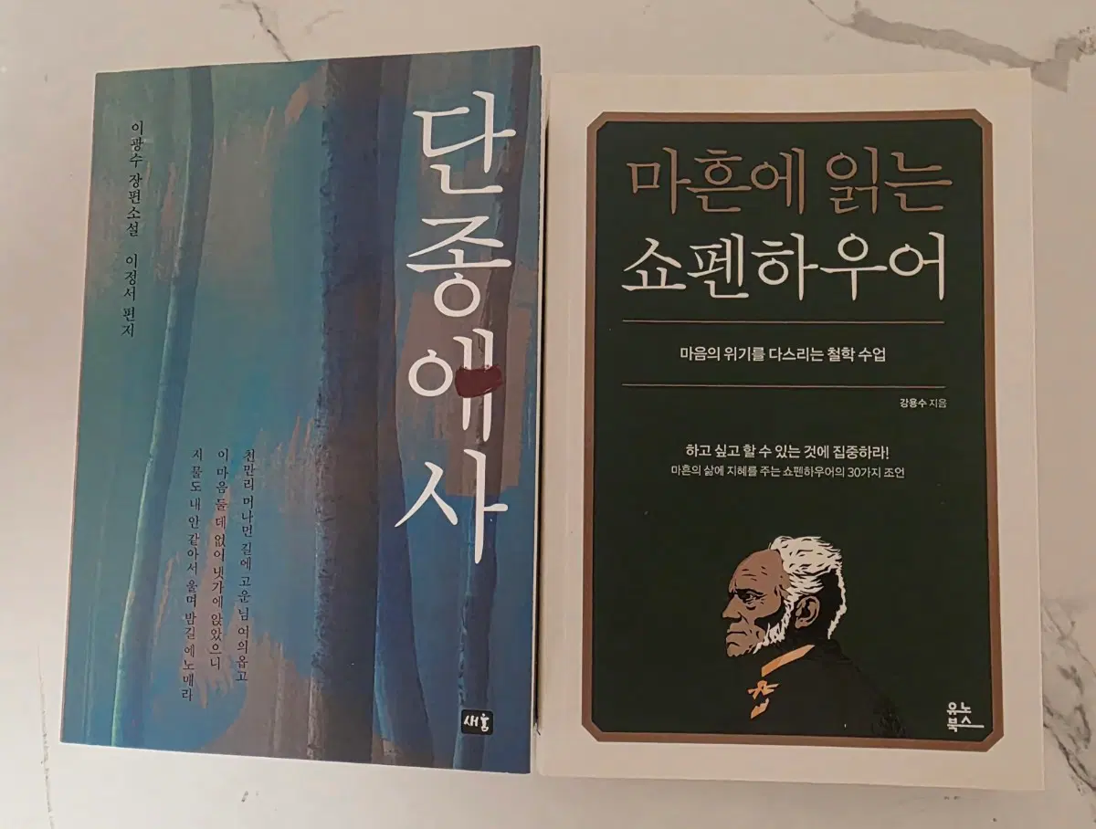 베스트셀러 도서 단종애사 ,마흔에 읽는 쇼펜하우어 책