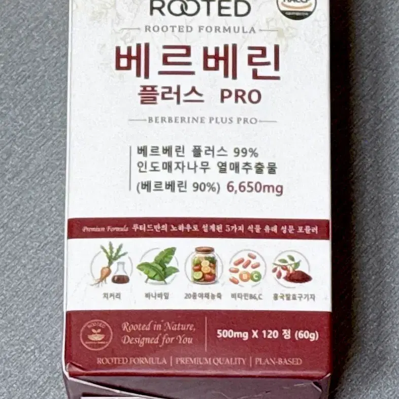 베르베린 탄수화물 식후 루틴