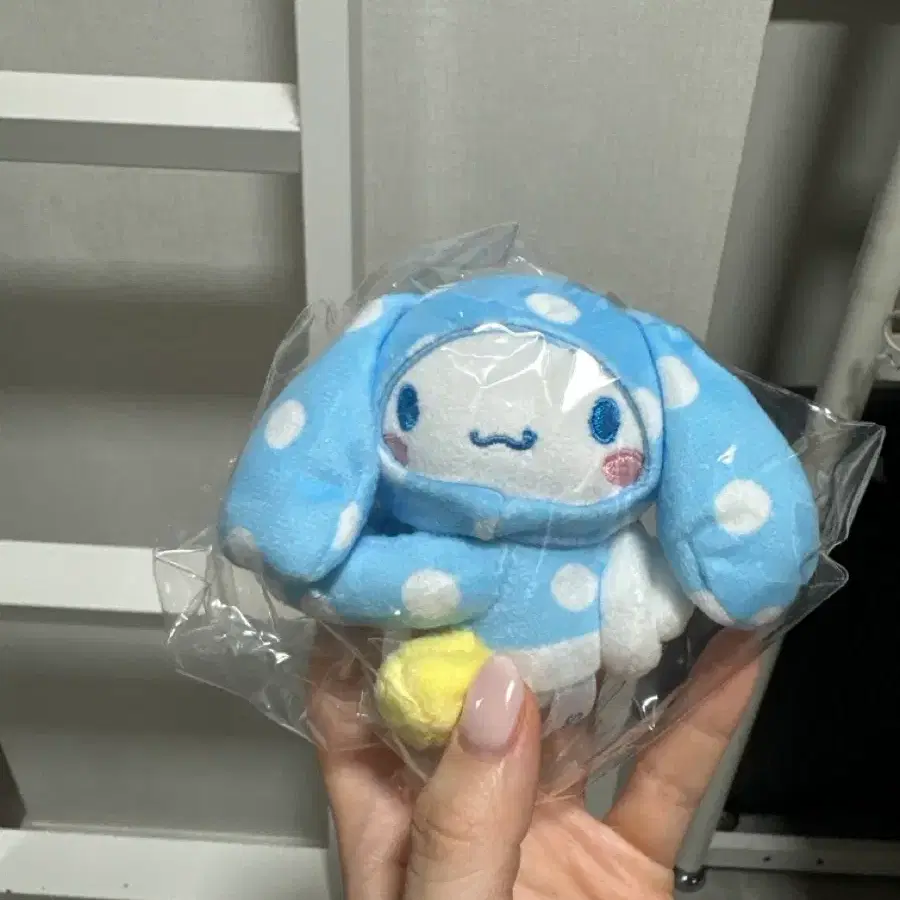 올리브영 시나모롤 콜라보
