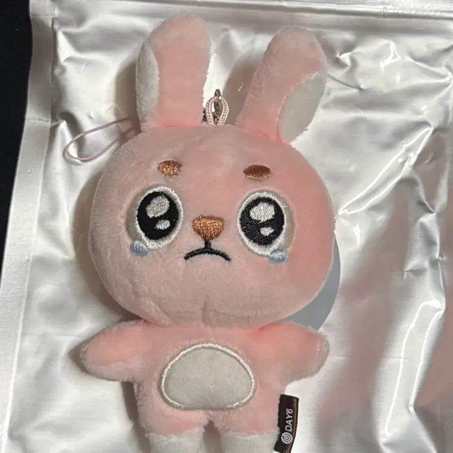 데이식스 원필 / 데니멀즈 필 시크릿 미니 플러시 키링 / 뿌엥필