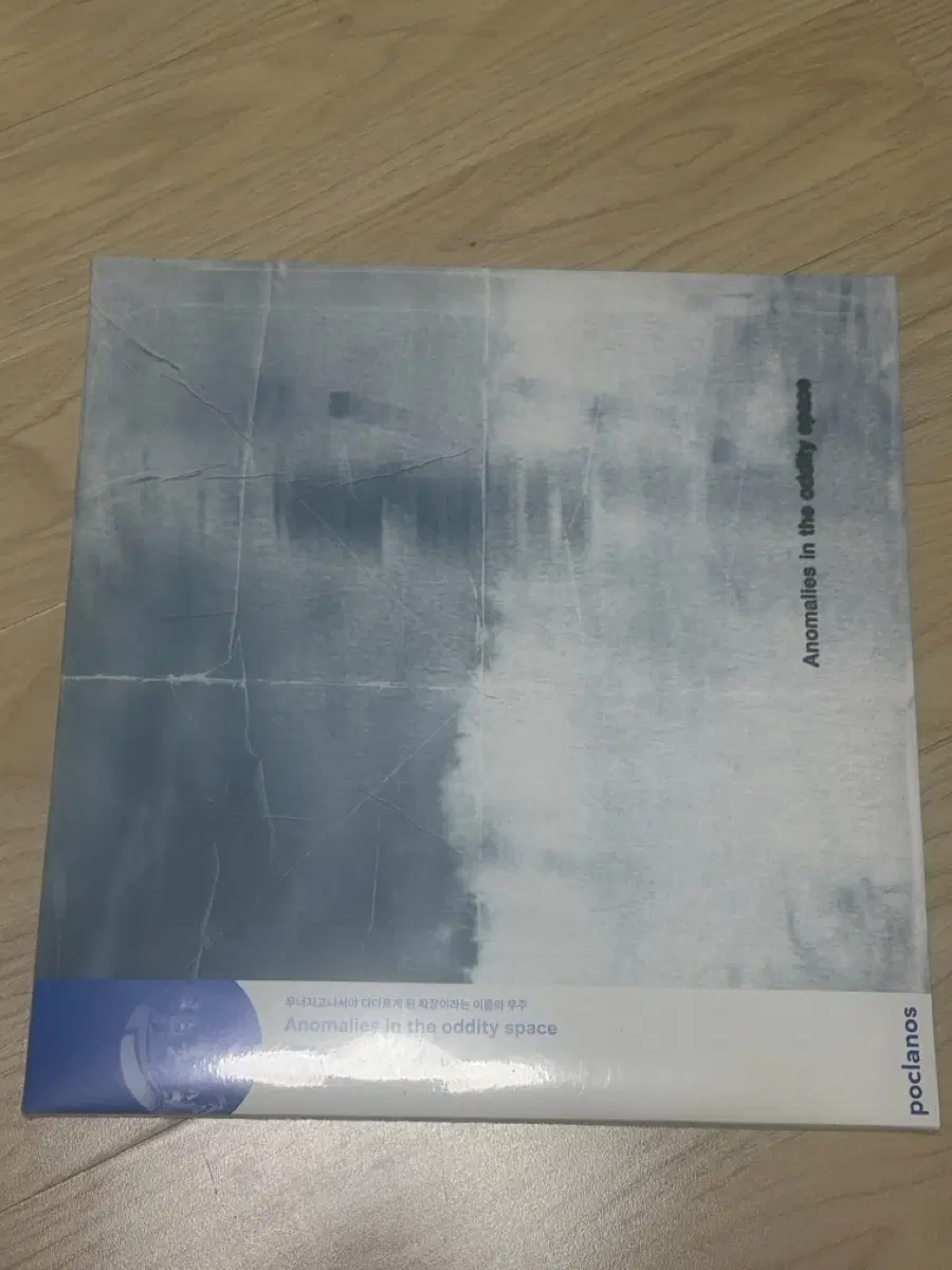 더폴스 Anomalies in the oddity space LP 미개봉