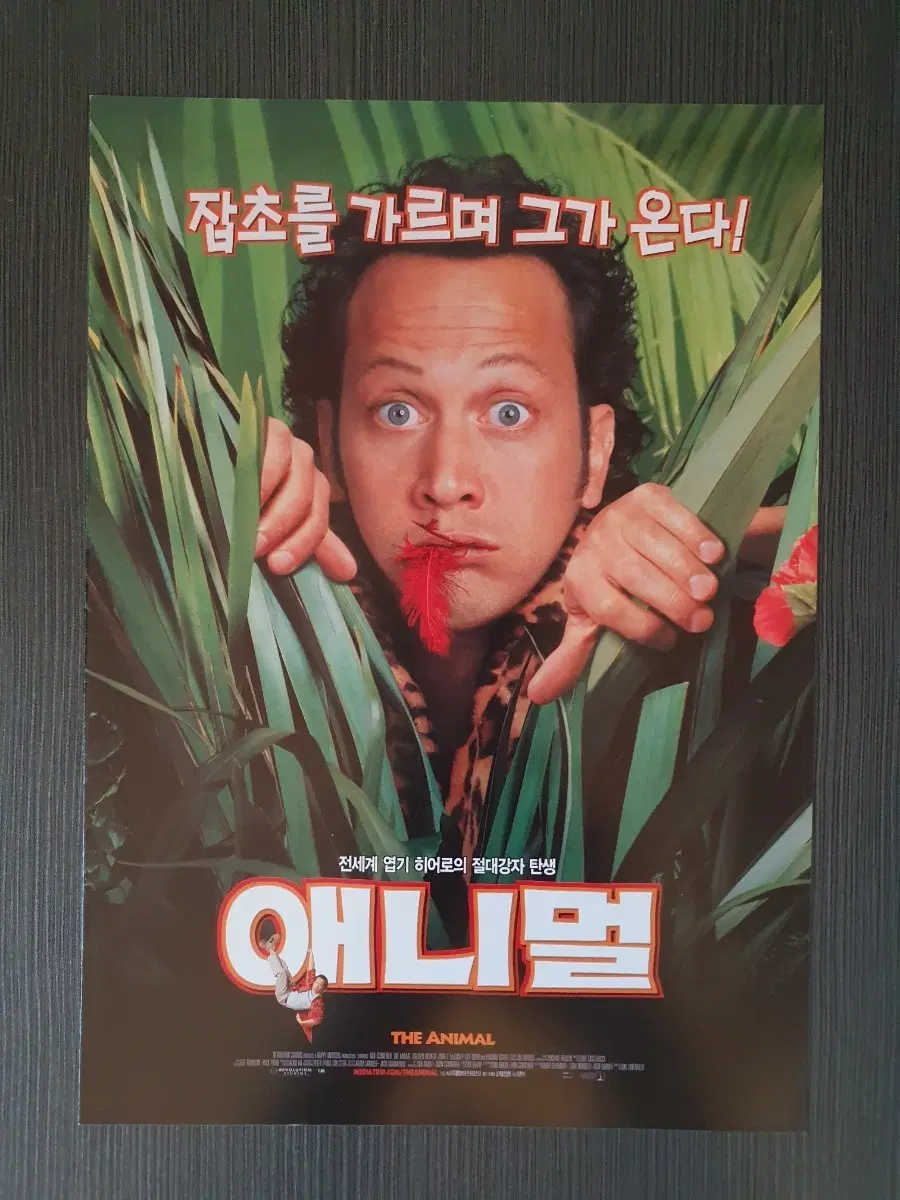 애니멀 2001년 영화 전단지 B5 2단접이 롭 슈나이더