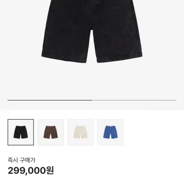스투시 빅올 쇼츠 블랙 30