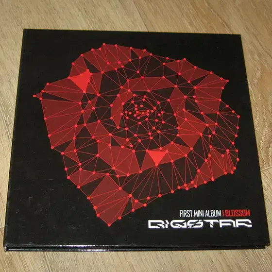빅스타 (Bigstar) - 1st 미니앨범 CD : Blossom