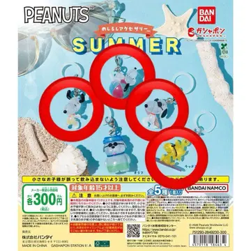 PEANUTS 메지루시 액세서리 SUMMER 가챠