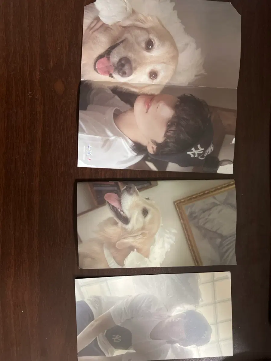 휴닝카이