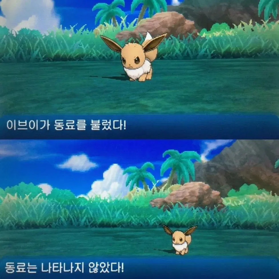 msd 의상 구매합니다