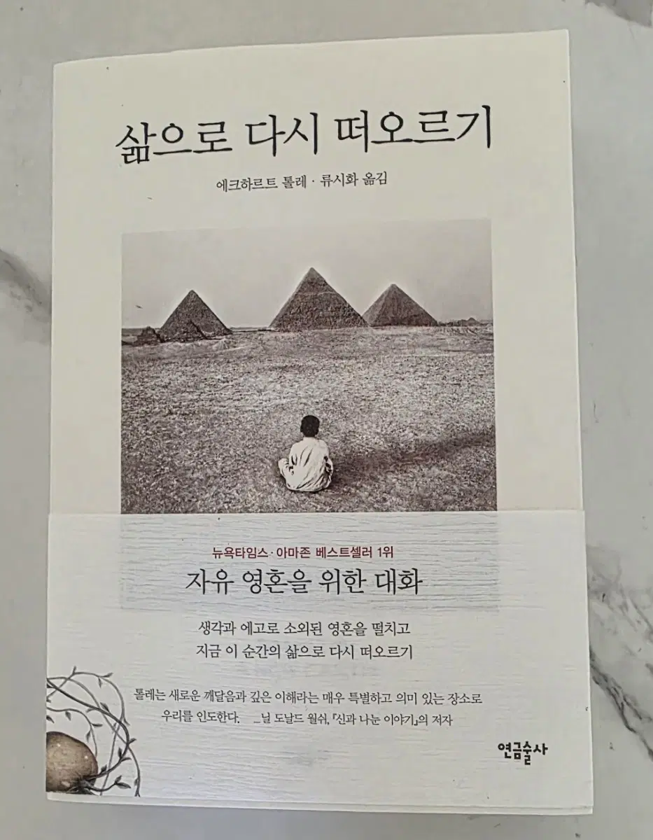 베스트셀러 도서 삶으로 다시 떠오르기: 자유 영혼을 위한 대화 책