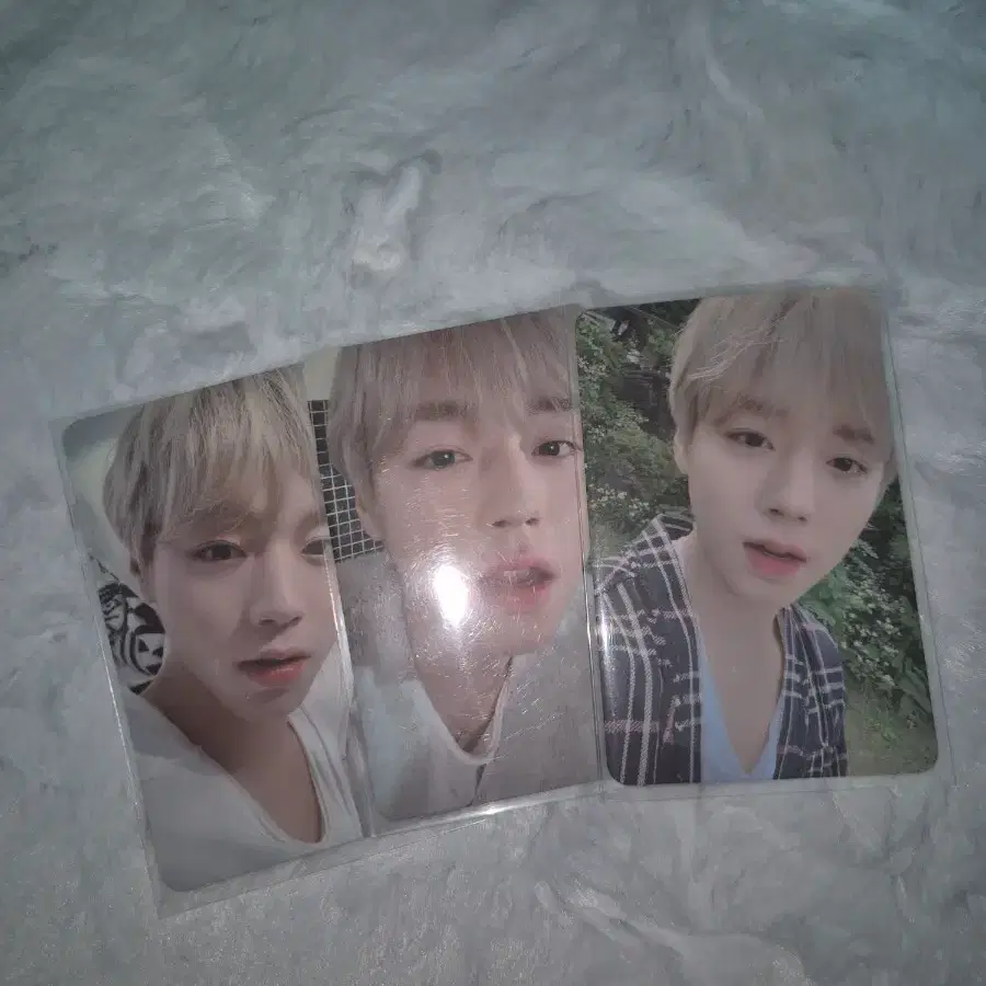 박지훈 2020시그 포카 일괄