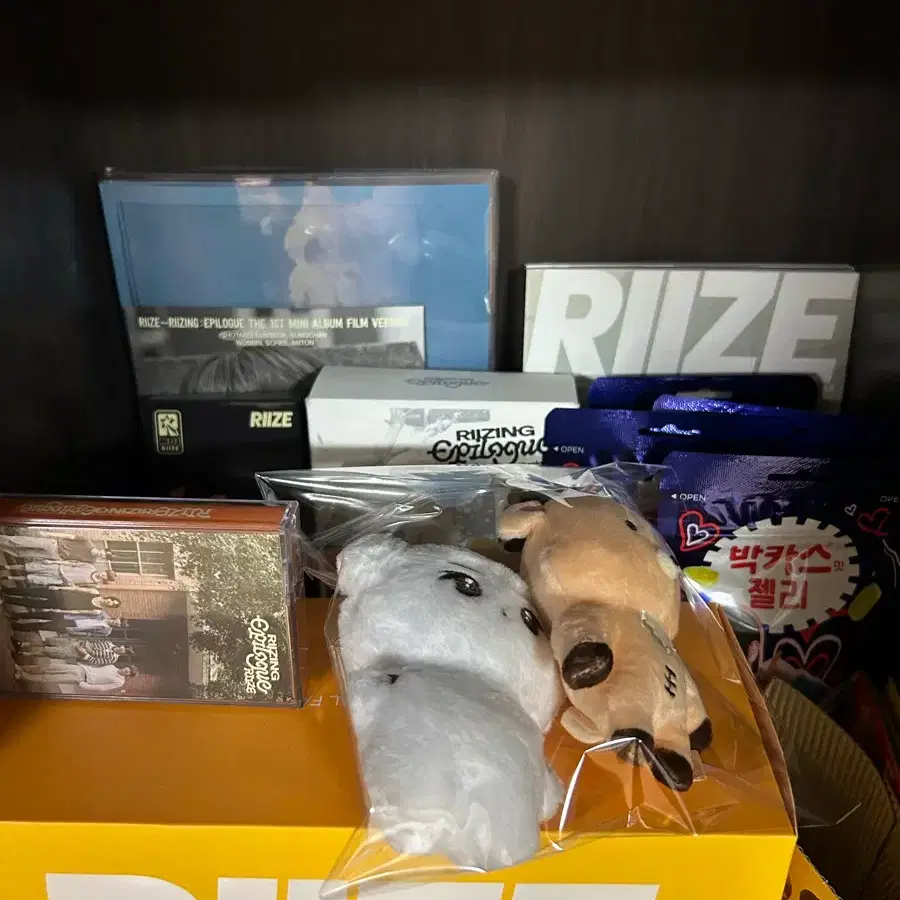 라이즈 굿즈 일괄 처분