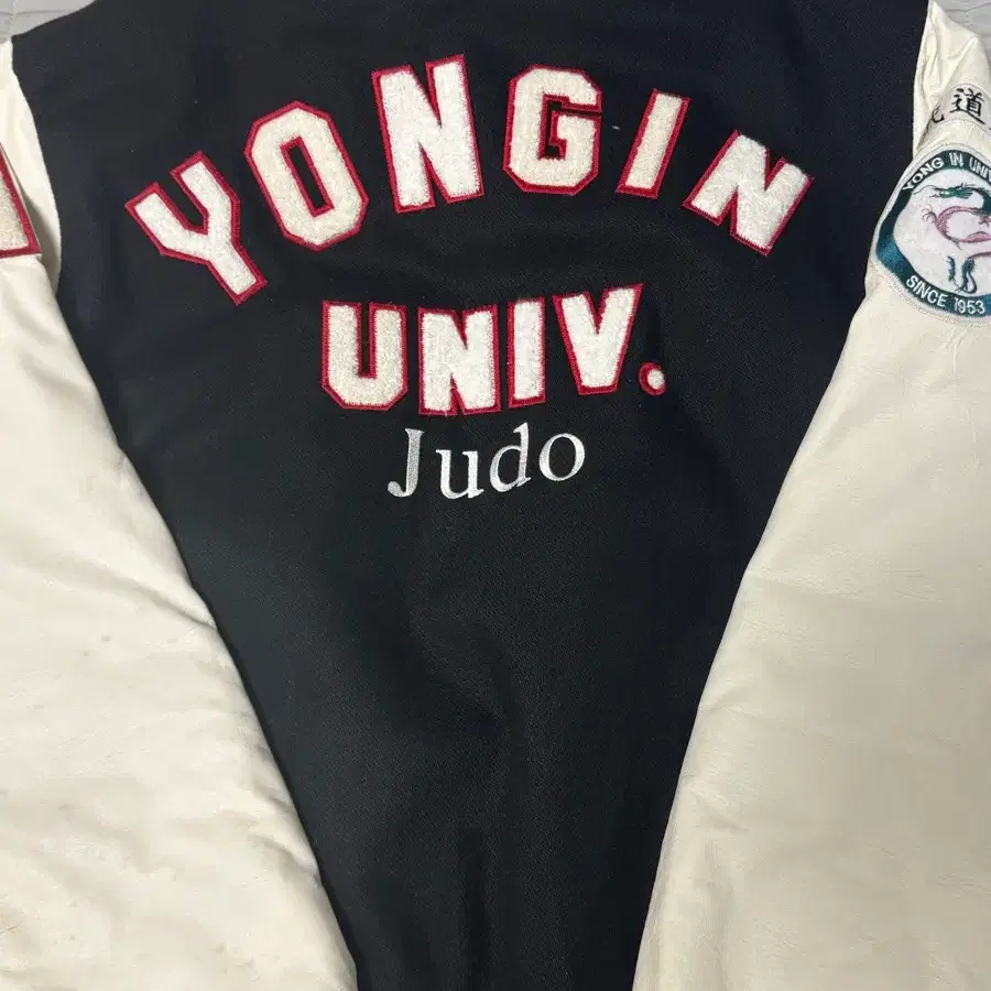 용인대 유도학과 과잠