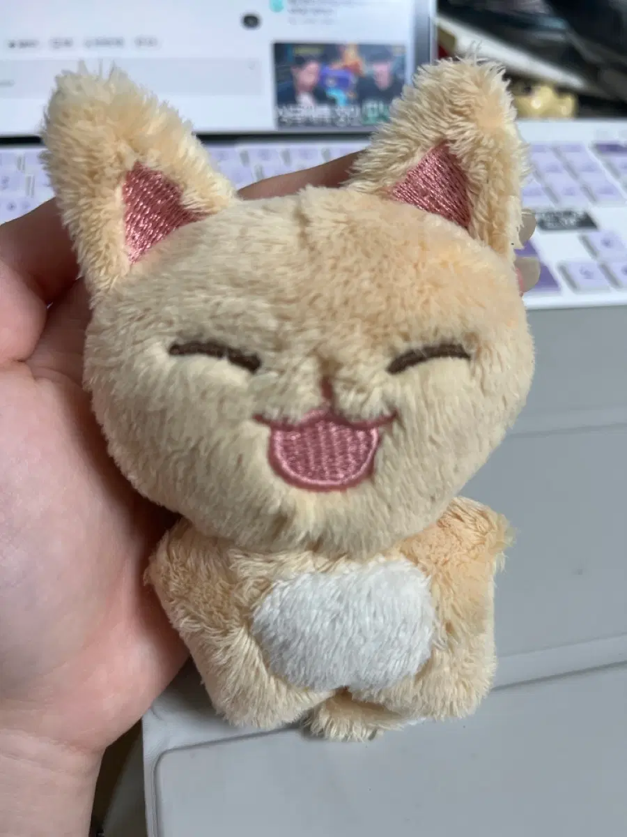 스키즈 양정인 인형