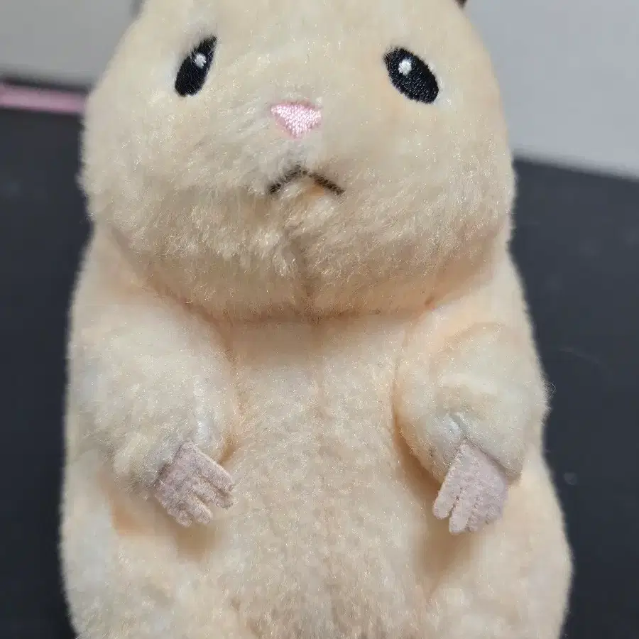 성한빈 뚱쭝햄