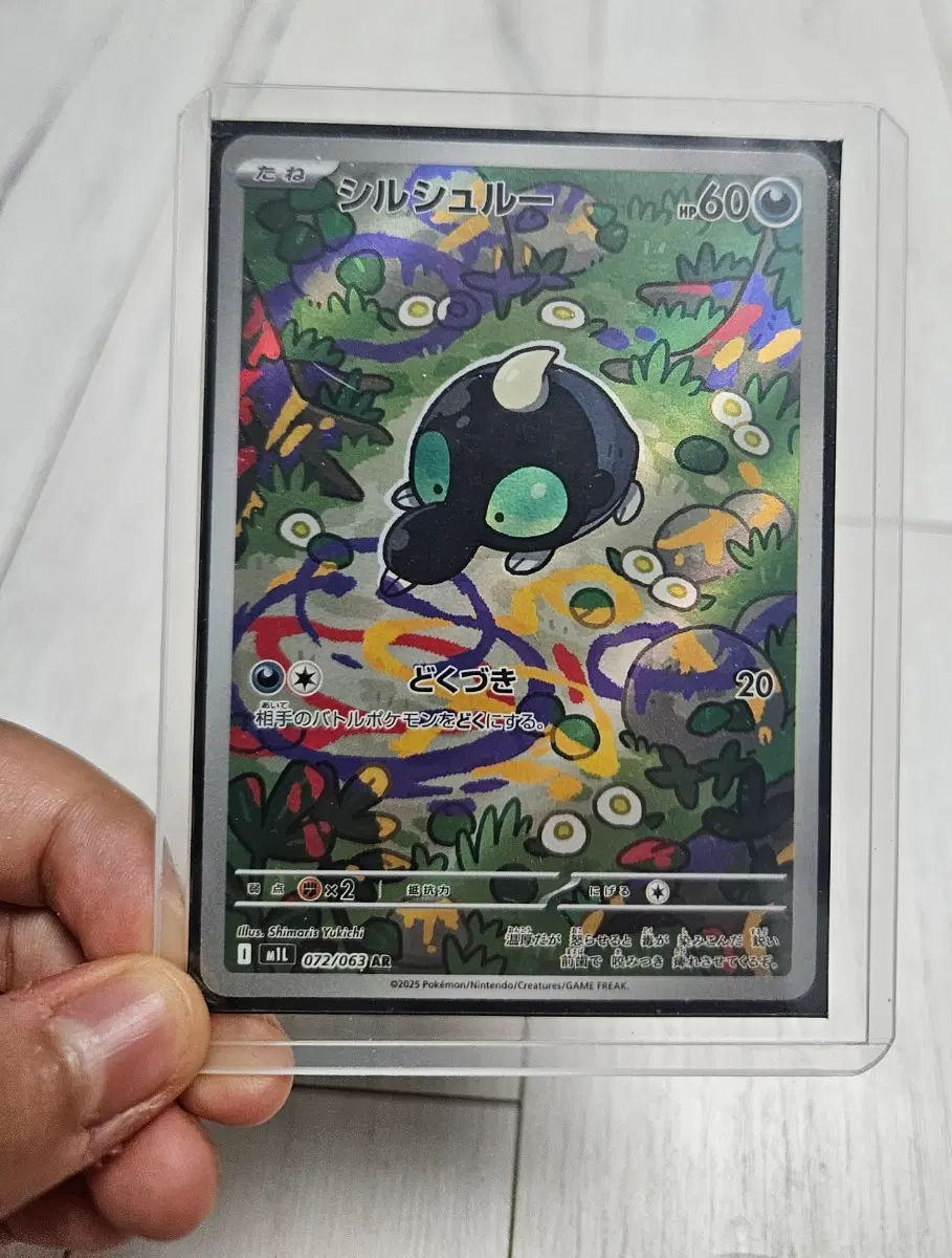 일판 땃쭈르 ar