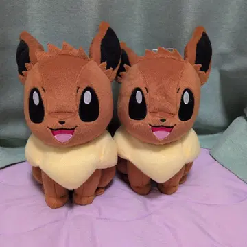 포켓몬 이브이 봉제 인형 2체 세트