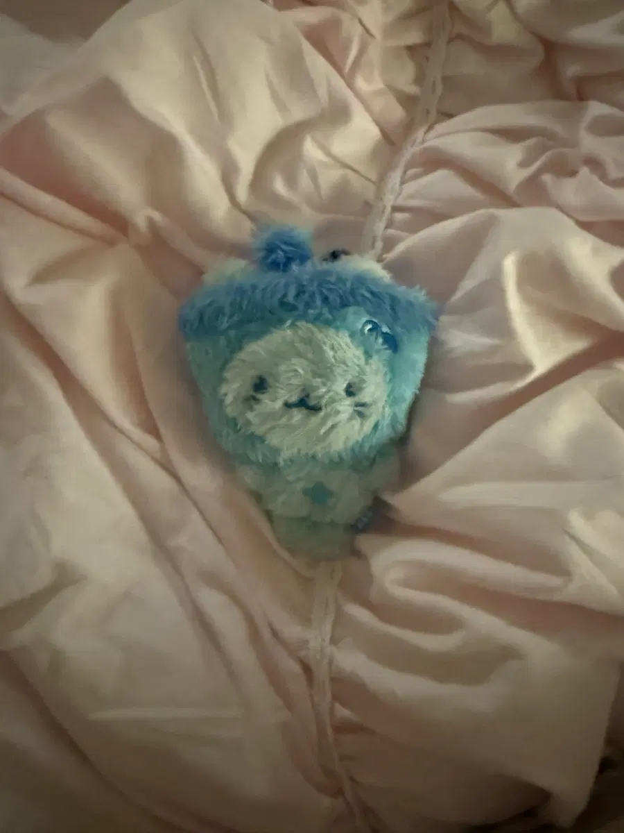 파란색 버블냥