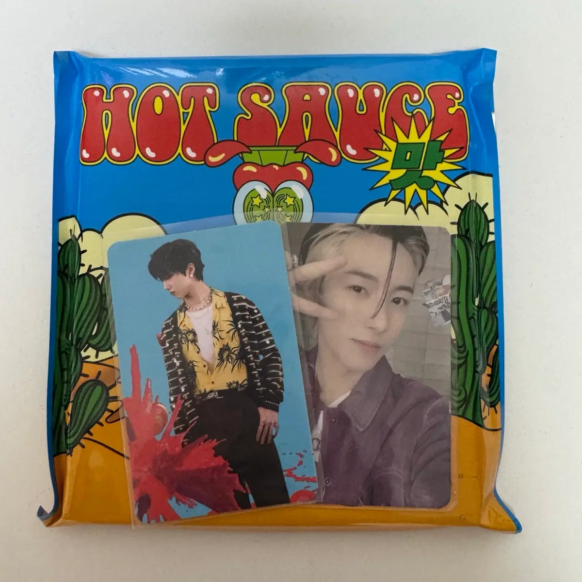 NCT DREAM 엔시티 드림 핫소스 지성 런쥔 포카