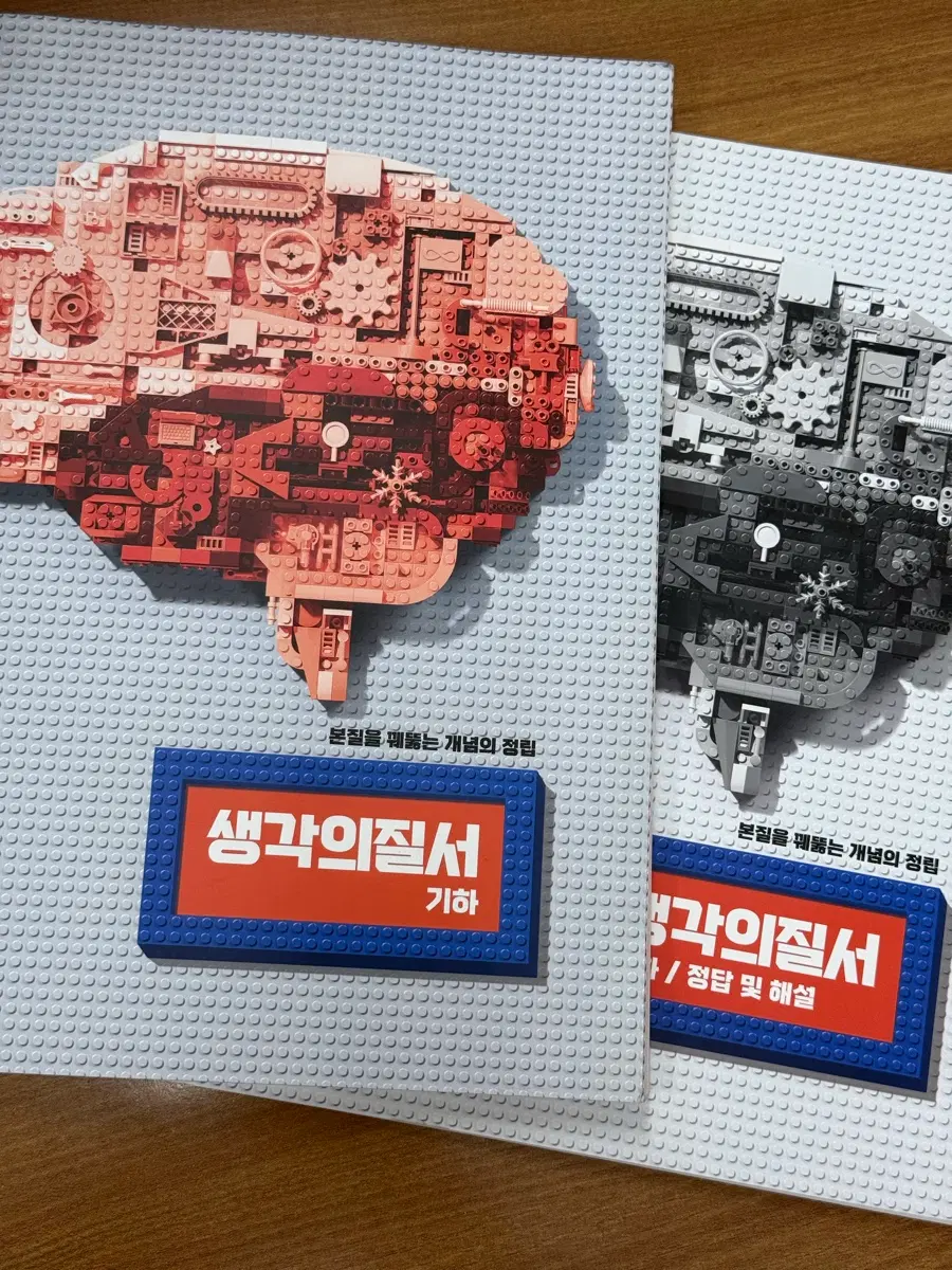 한석원 생각의질서 기하