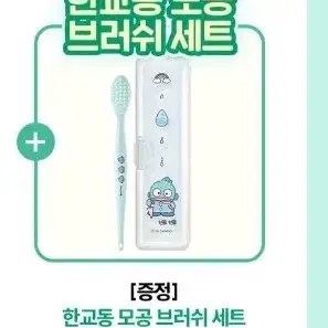 올리브영 산리오 한율 한교동 모공 브러쉬 세트