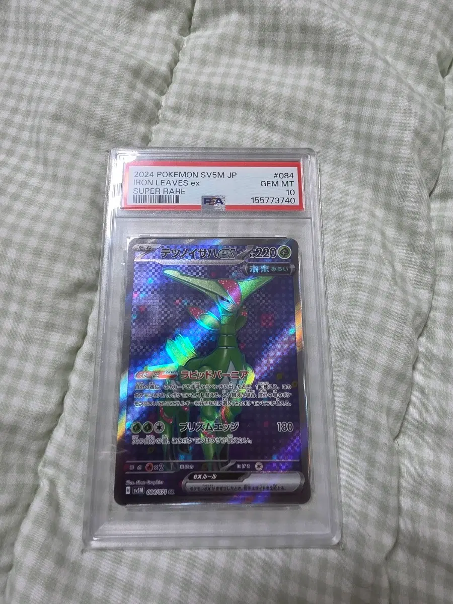 무쇠잎새 sr 일어판 psa10