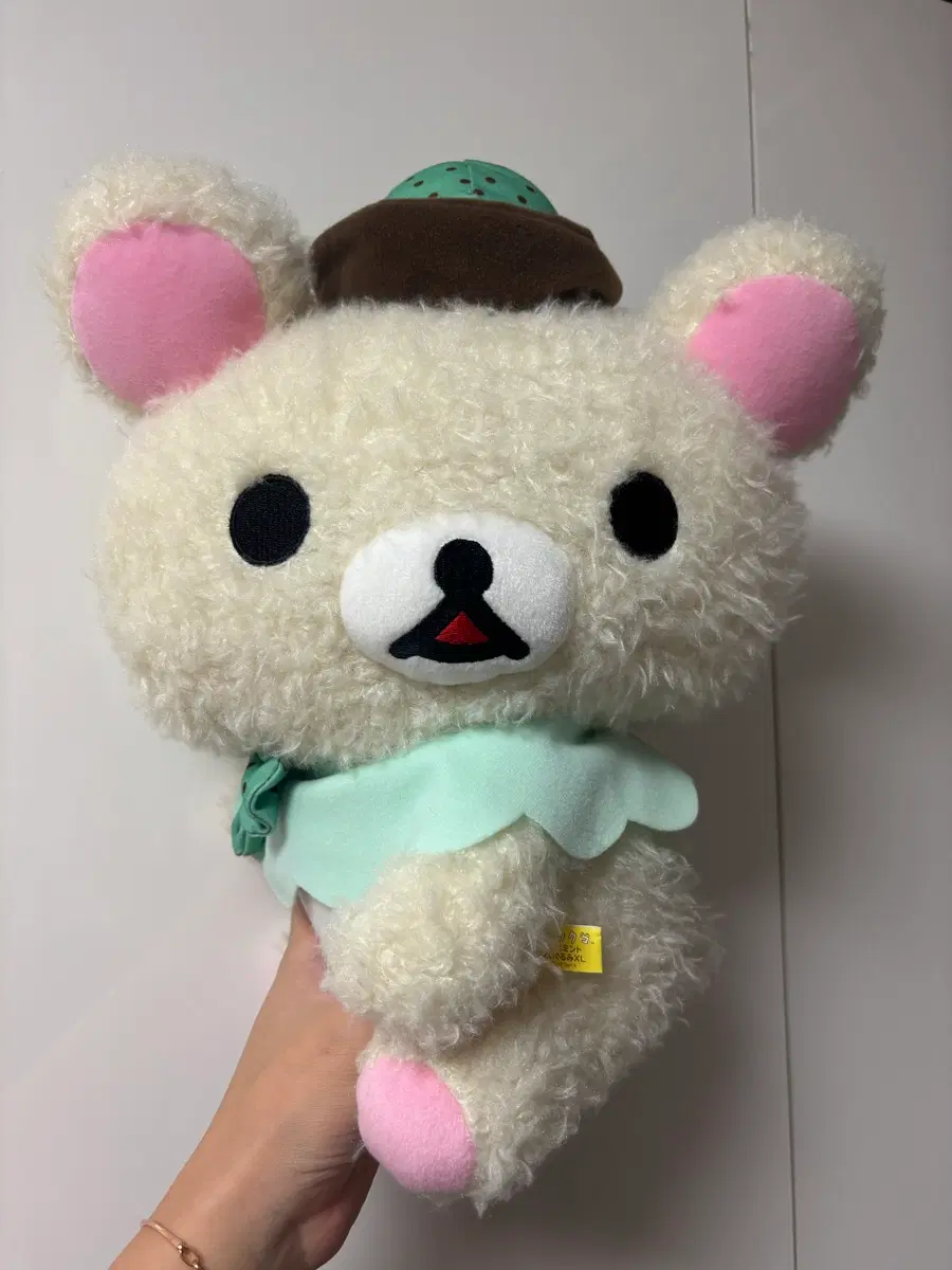 코리락쿠마 민트코어 뽀글이 대형인형