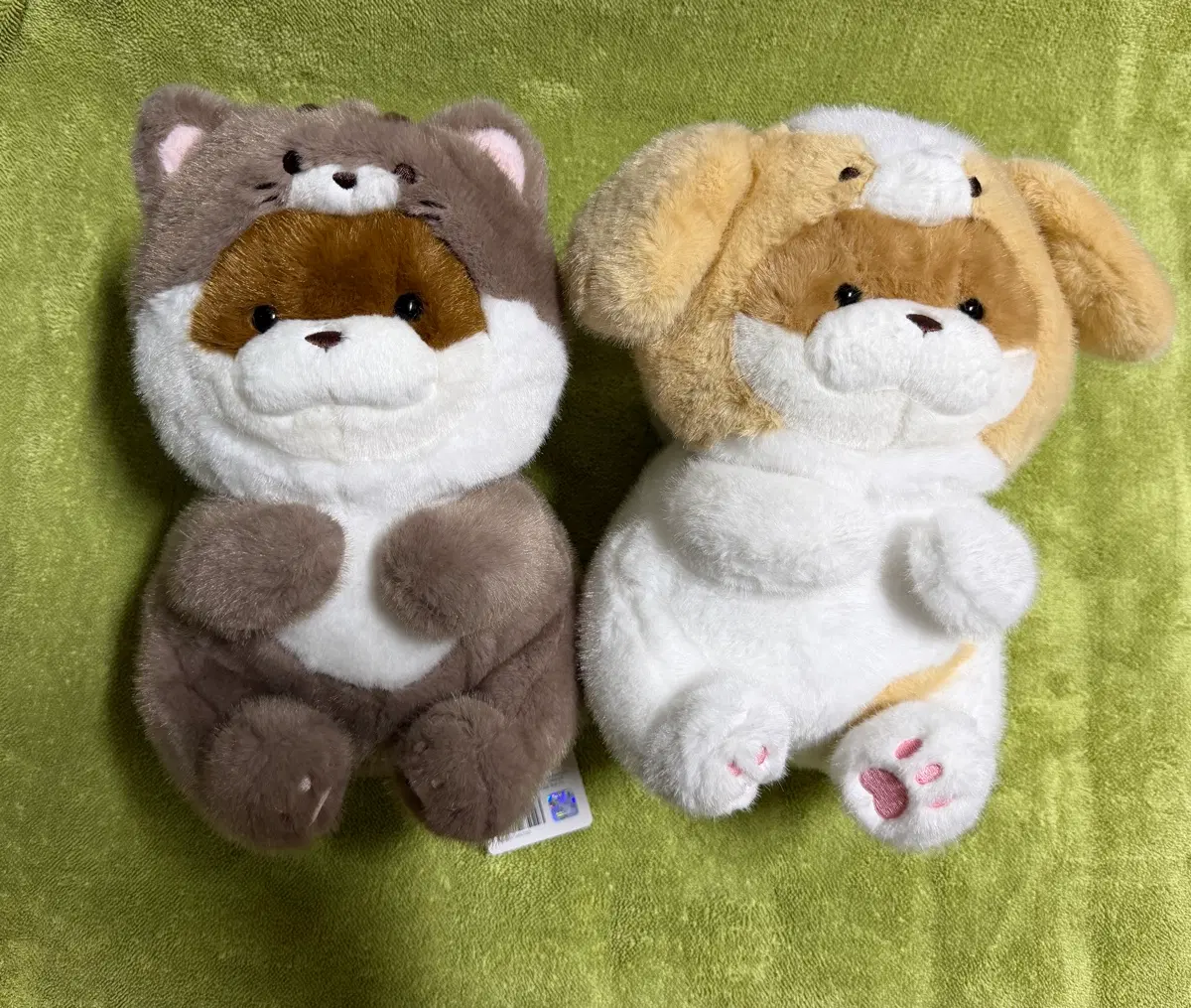 우소우소짱 강아지,고양이 에디션 인형 새상품