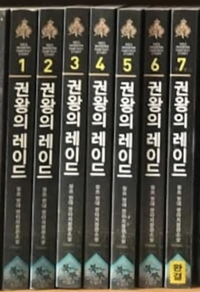 판타지 소설 권왕의 레이드