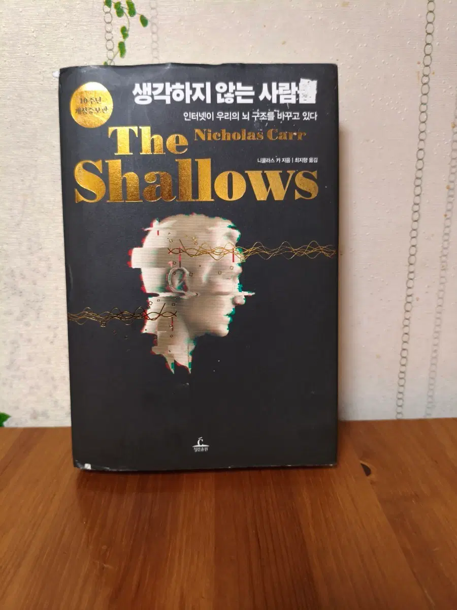 생각하지 않는 사람 The Shallows 니콜라스 카