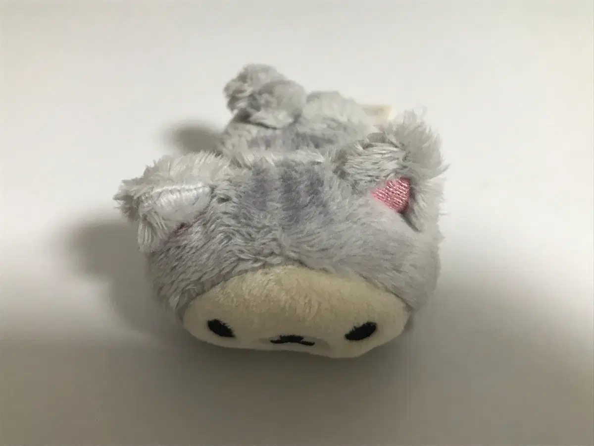 코리락쿠마 네코 고양이 테노리