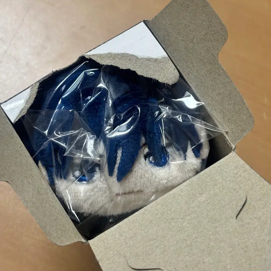 주술회전 사멸회유 포테코로 누이 메구미