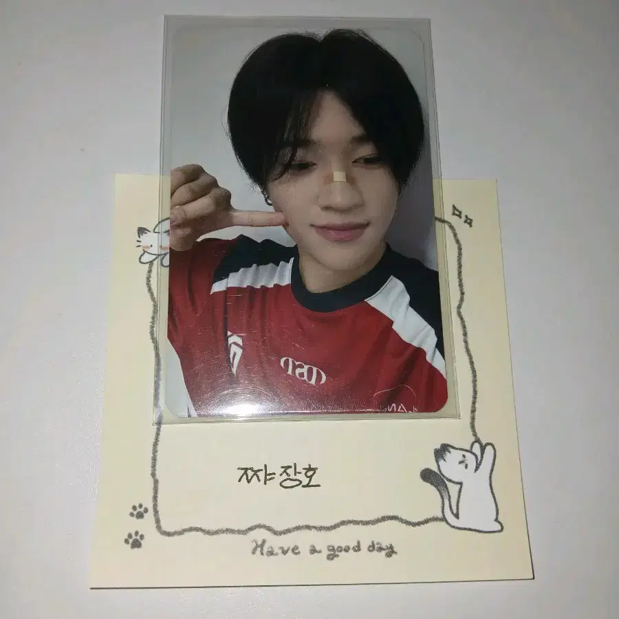 홈레이스 장슌위 보플2 포카