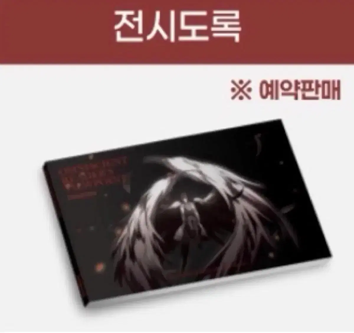 급전) 전독시 전시도록