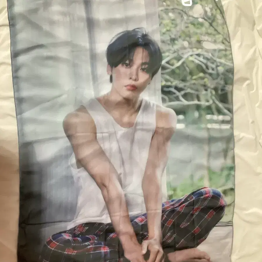 엔시티위시 패브릭포스터 리쿠 양도