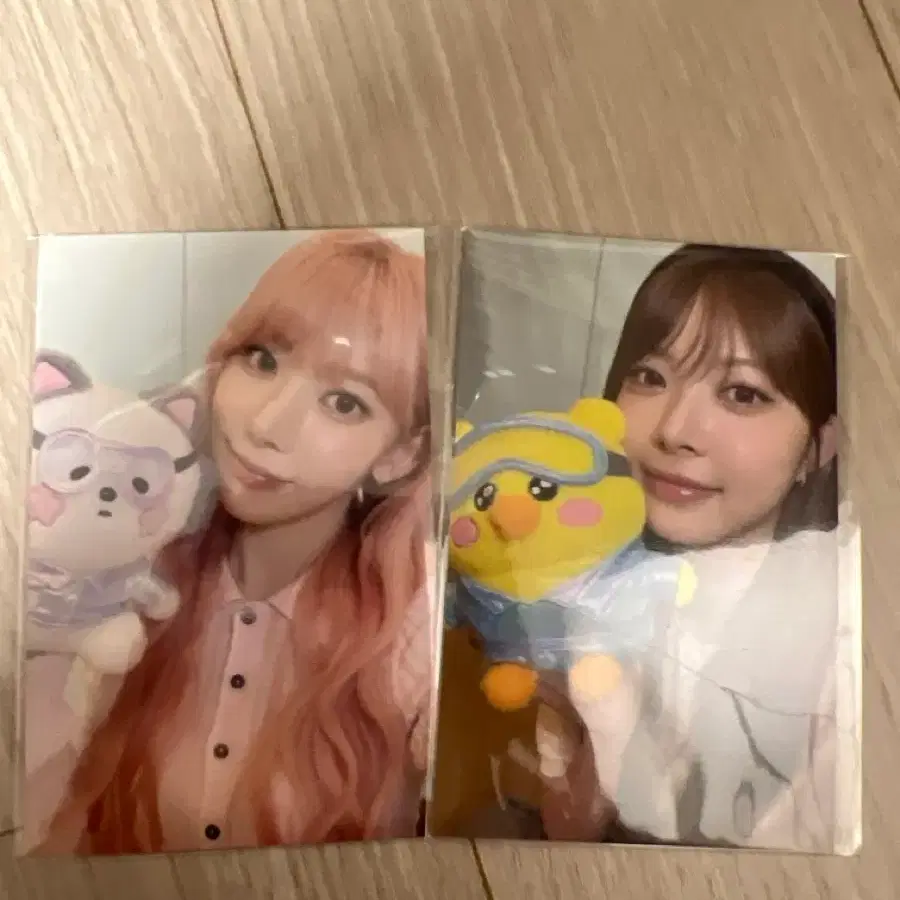 르세라핌 핌즈클럽 특전 꾸라은채