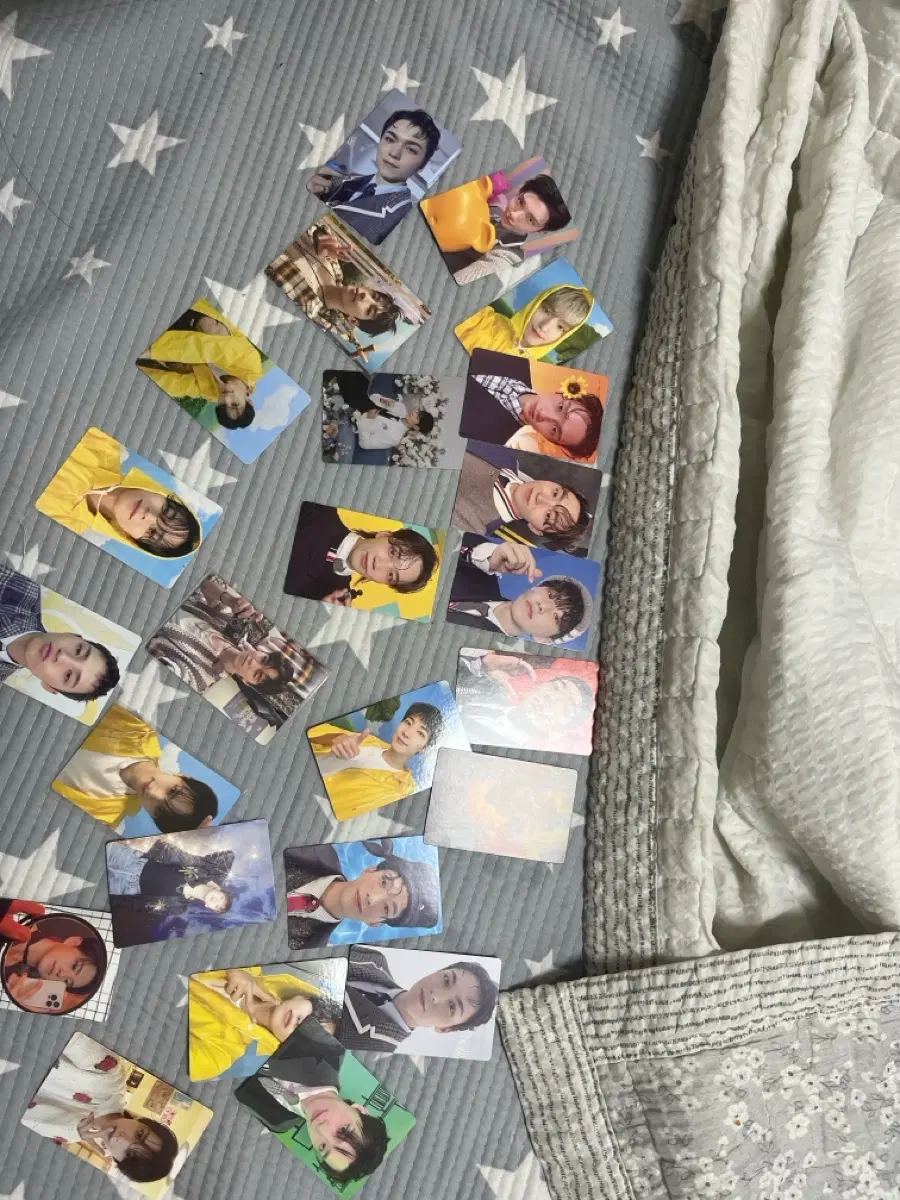 세븐틴 포카 일괄판매