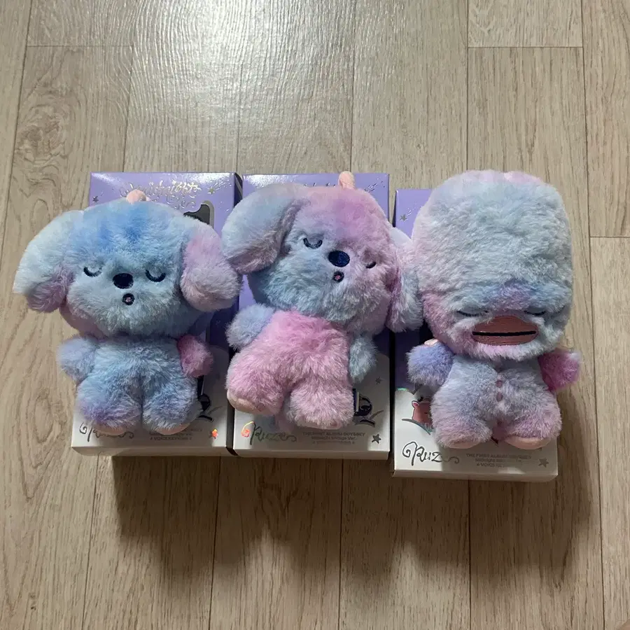 라이즈 정규1집 오디세이 앨범 소희 똘병이 앤톤 멍룡이