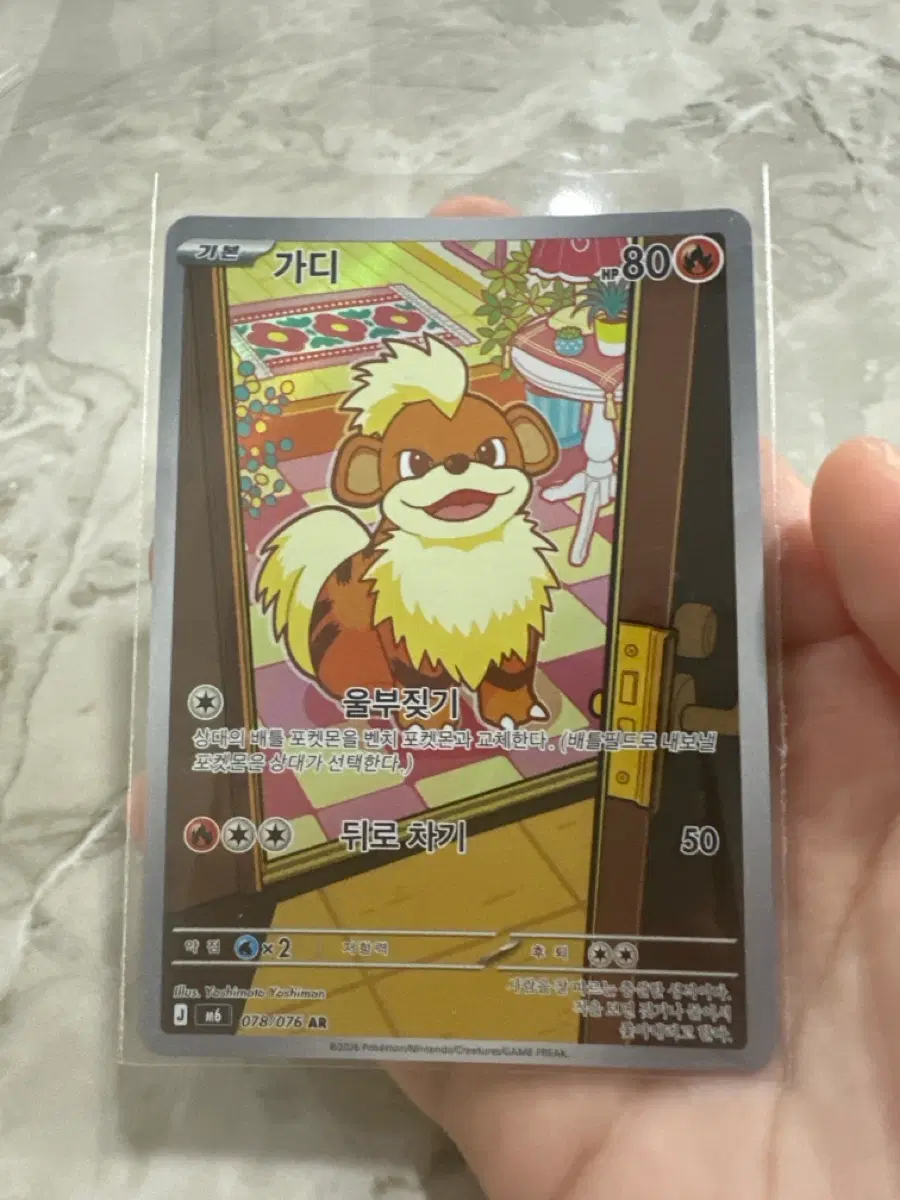 포켓몬 카드 가디 AR