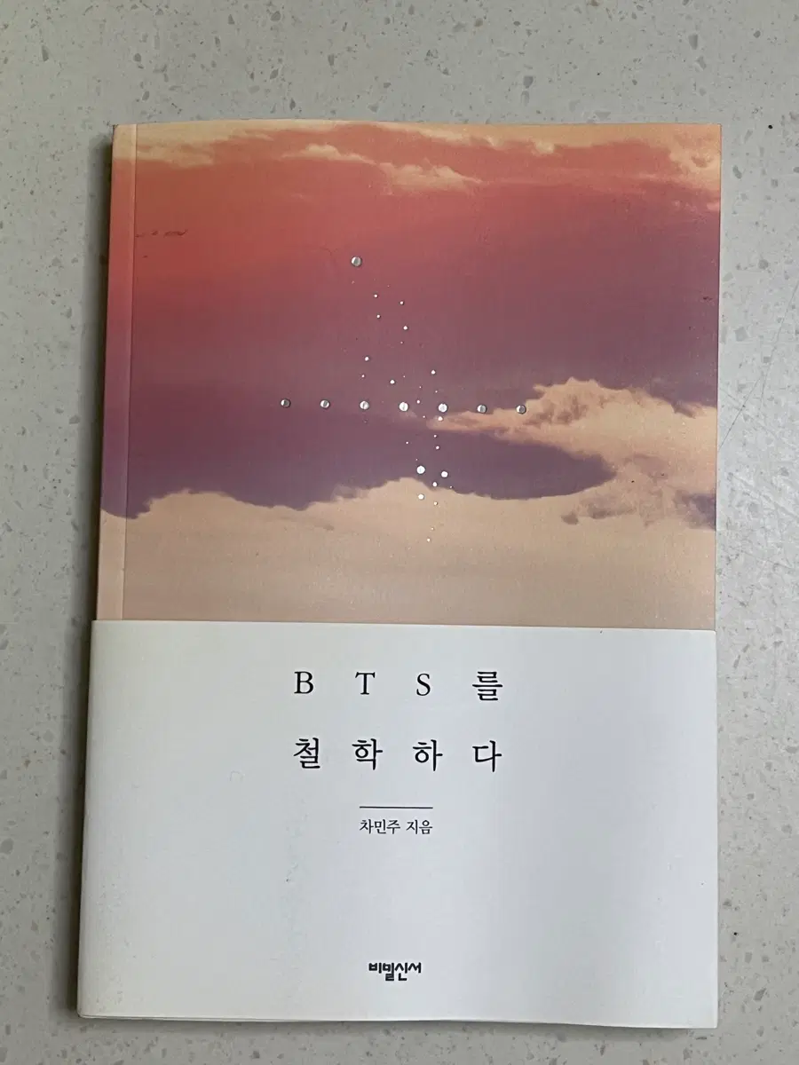 BTS를 철학하다 (차민주 지음)