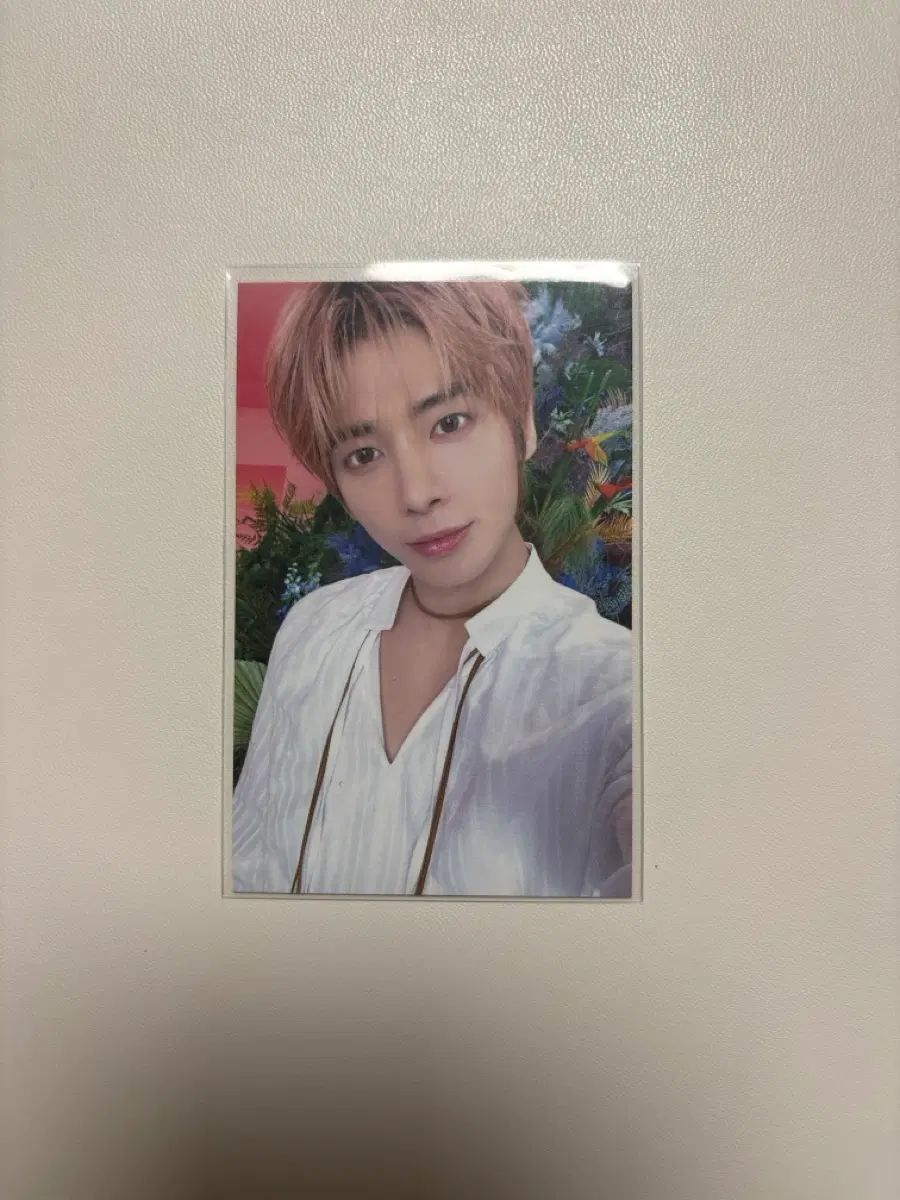 폭덤)스미콘 모아존 태현
