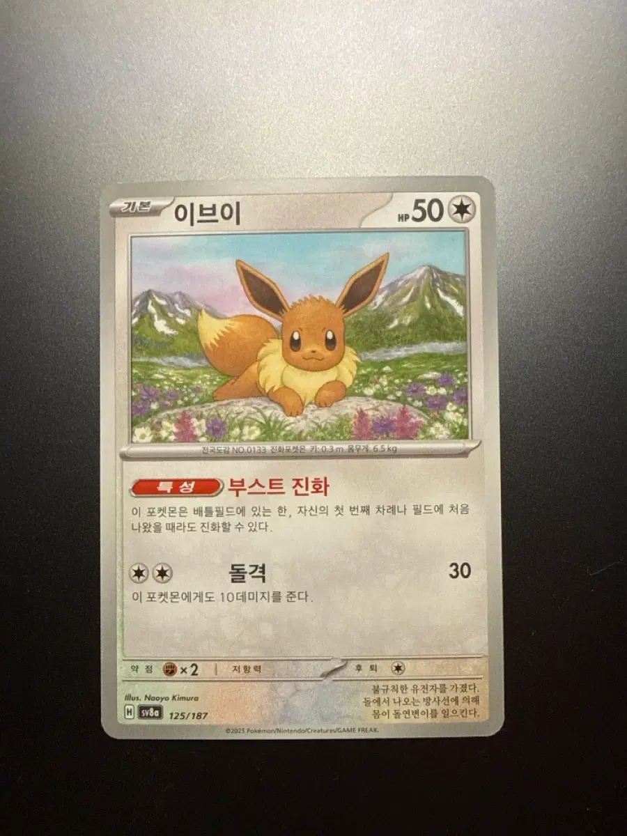 포켓몬 카드 이브이