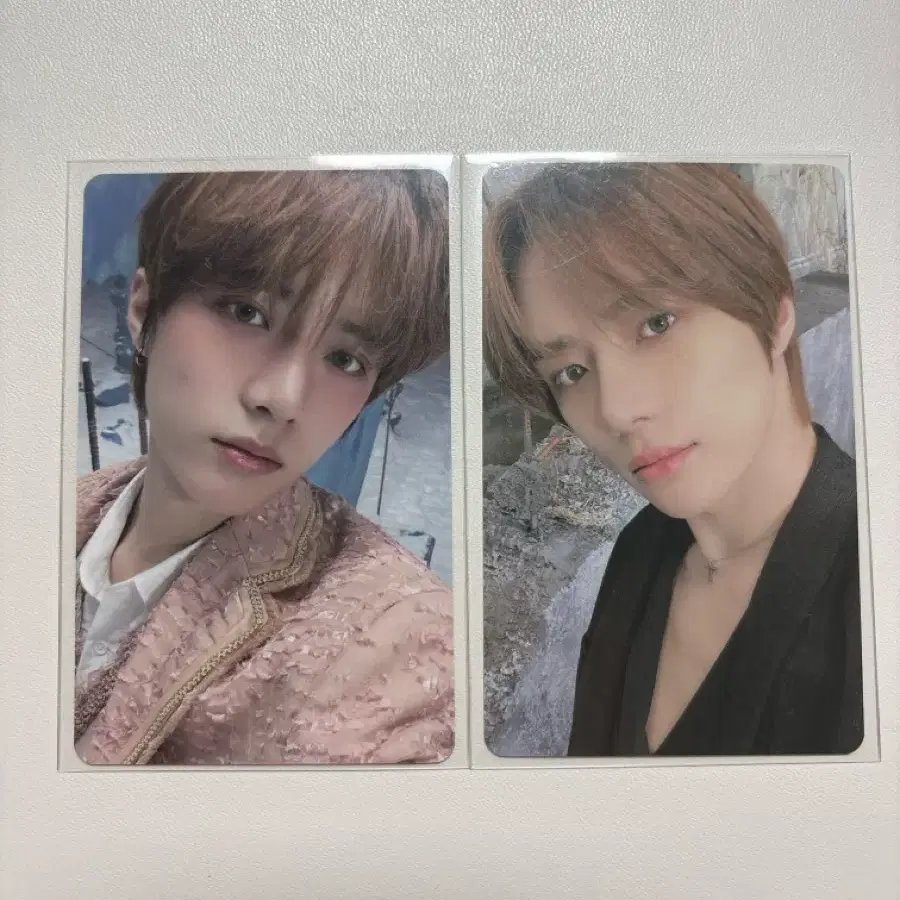 폭덤)엑트럽식 범규 일괄