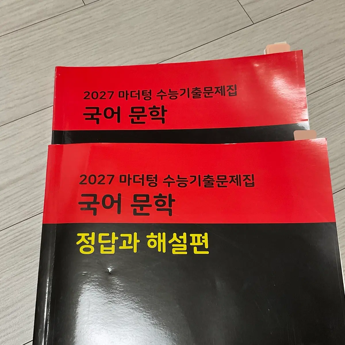 2027 마더텅 문학