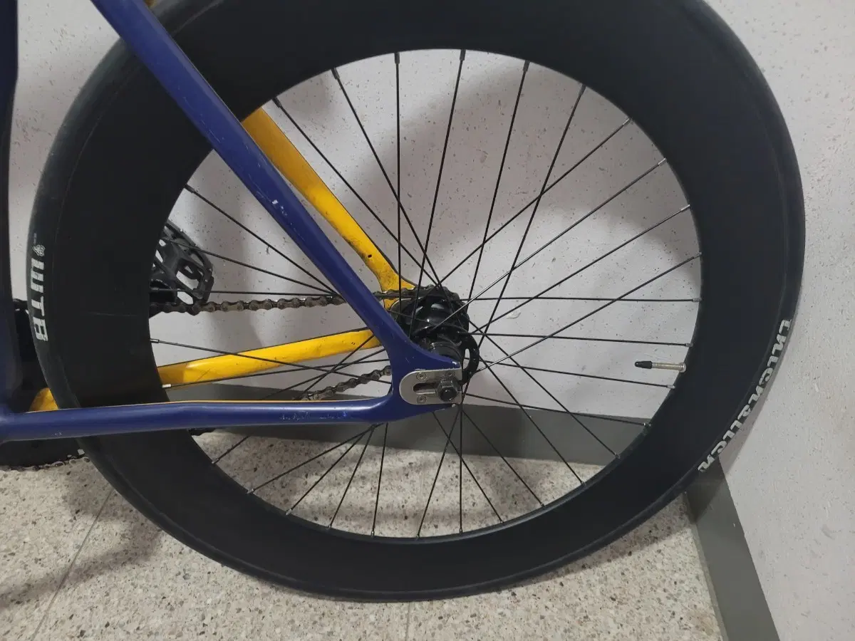 70림 리어