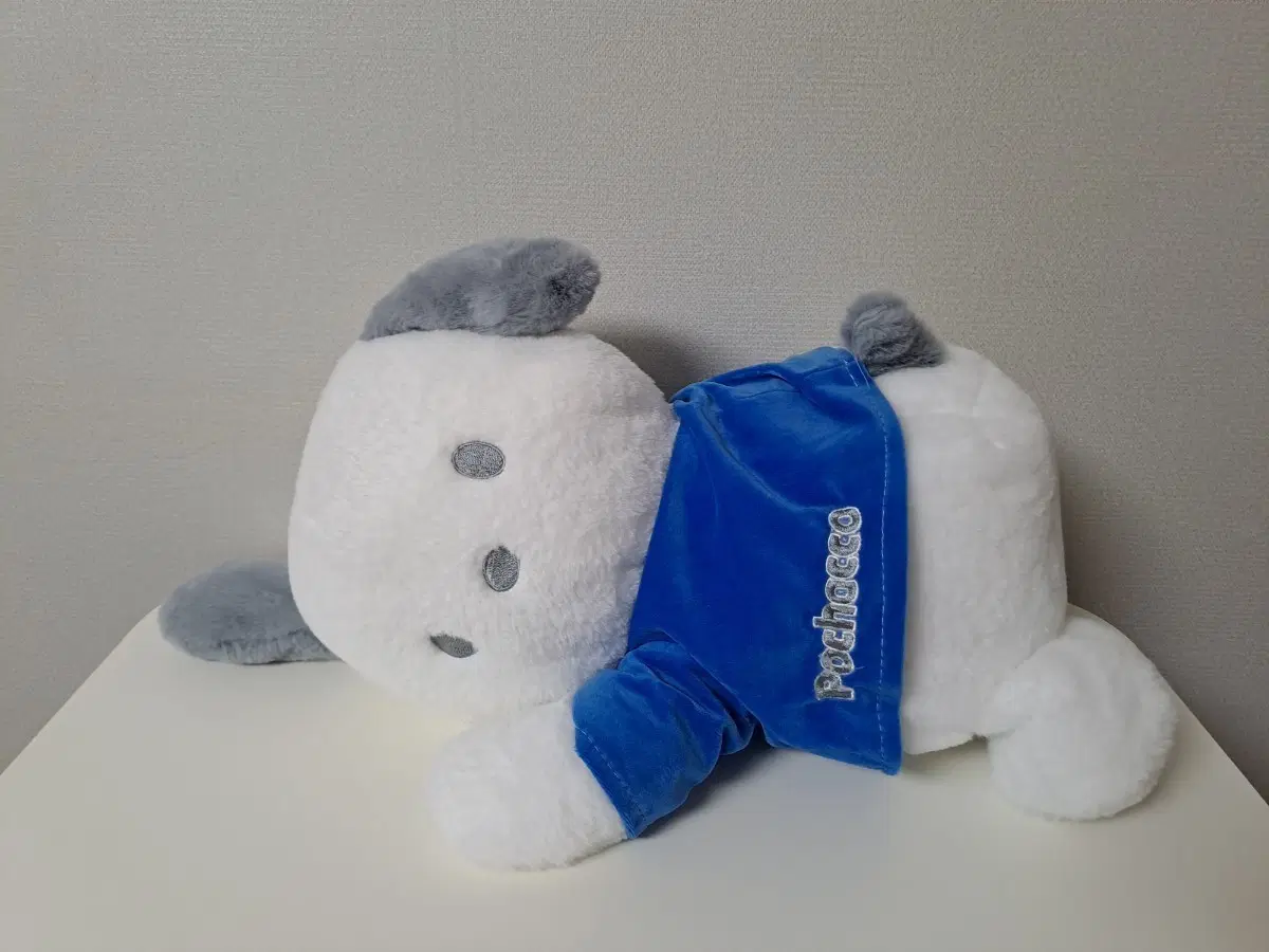 산리오 포차코 인형 중대형